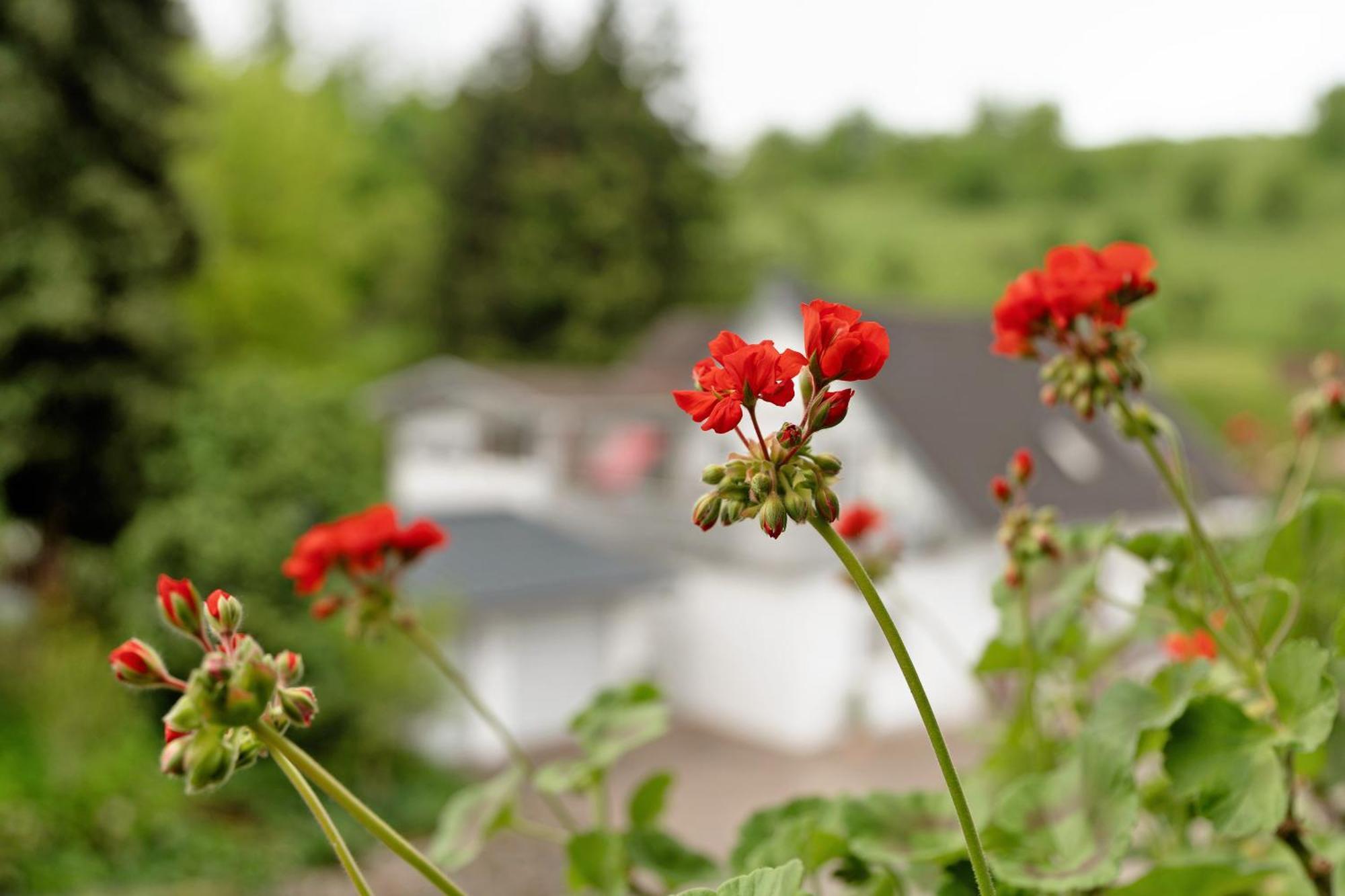 Ferienwohnung Serr Lauf Exterior foto